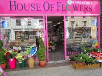 House Of Flowers 1093925 Image 0